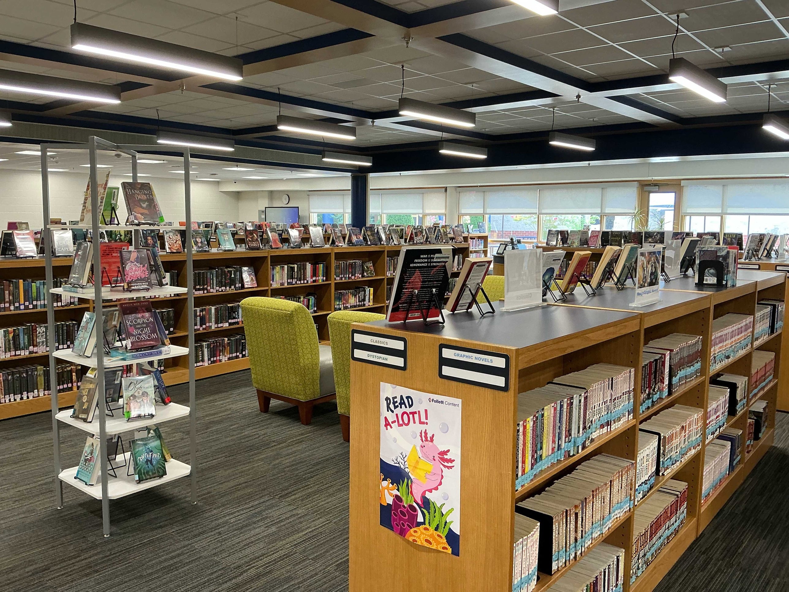 Image of Hylton's library